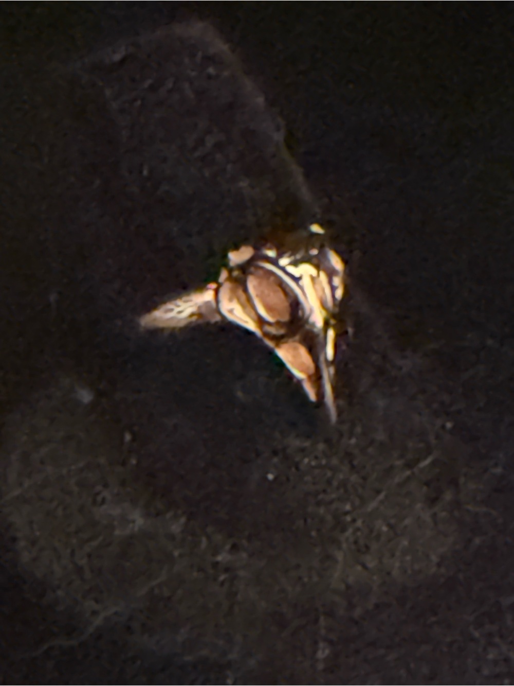 CROW Ring Size 6